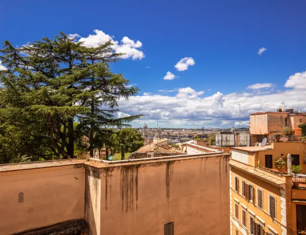 Junior Suite vista San Pietro (23)